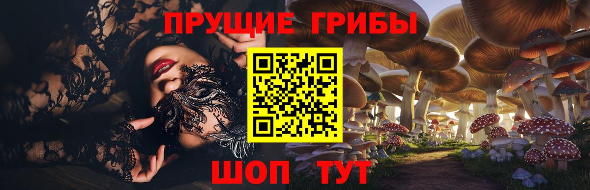 Галлюциногенные грибы Magic Shrooms  Псилоцибиновые грибы Magic Shrooms  Вход с VPN  Кировск 