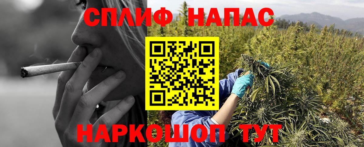 Каннабис MAZAR Кировск